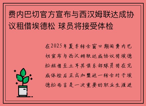 费内巴切官方宣布与西汉姆联达成协议租借埃德松 球员将接受体检
